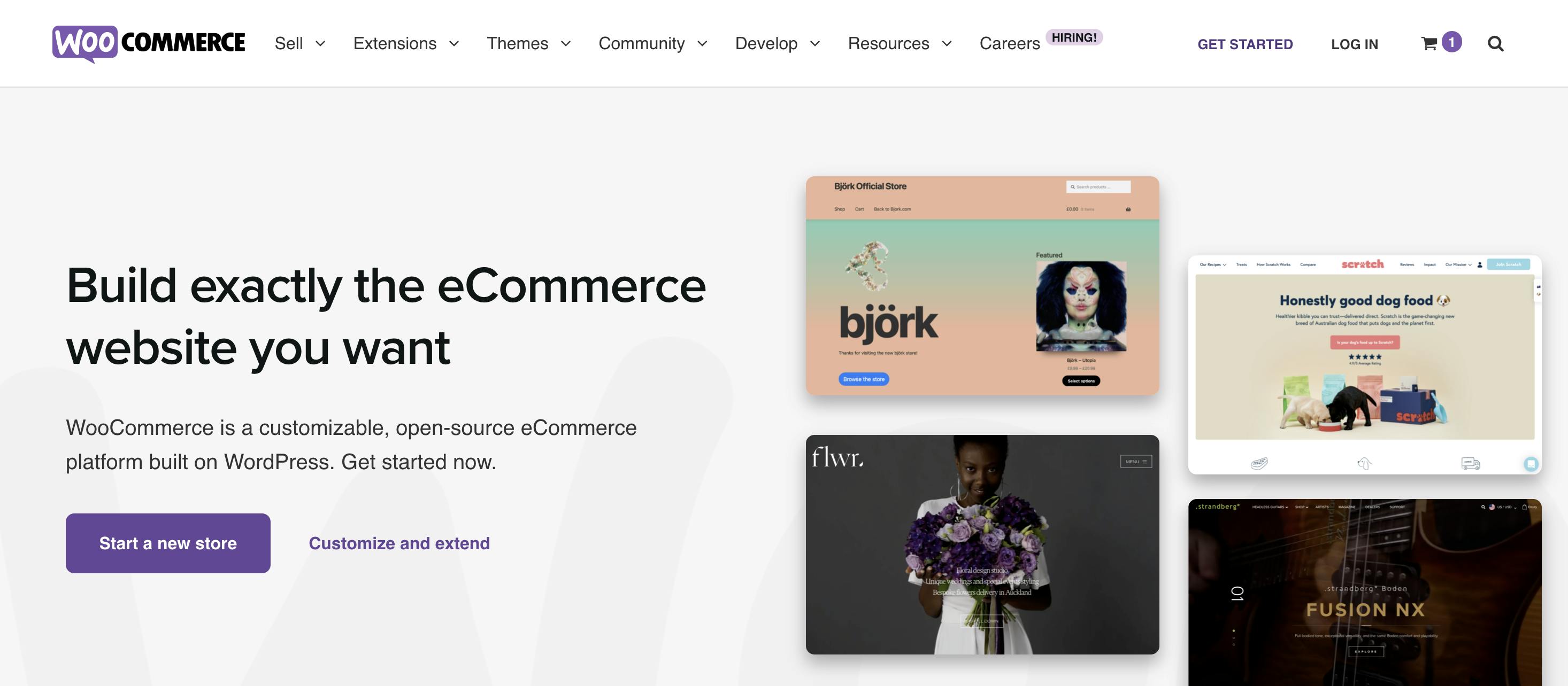 Screenshot of WooCommerce homepage