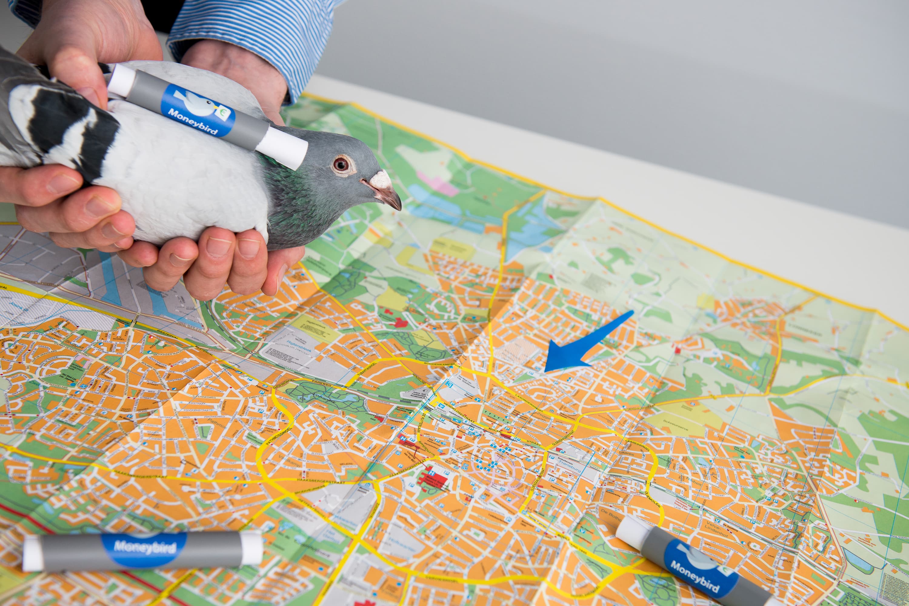 Postduif met factuur