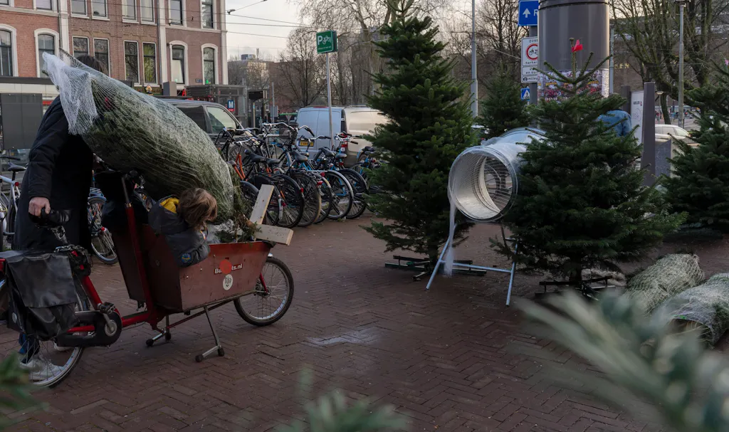Iemand laadt een kerstboom in een bakfiets
