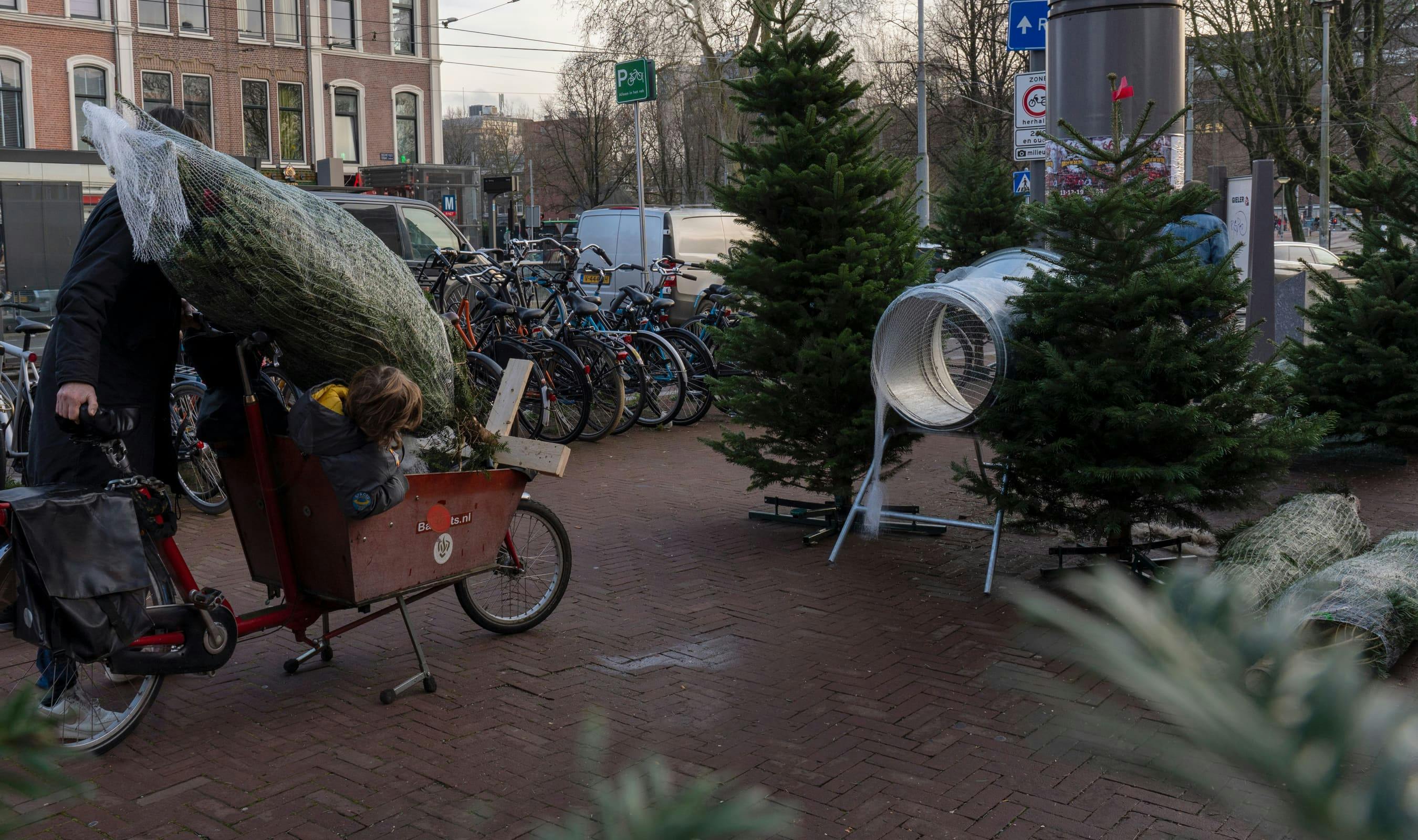 Iemand laadt een kerstboom in een bakfiets
