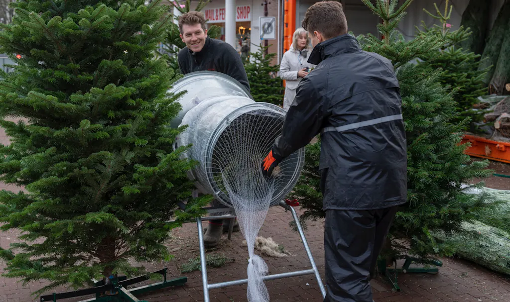 Kerstbomen worden verpakt