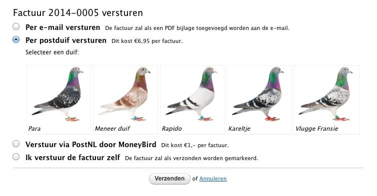 Verschillende postduiven