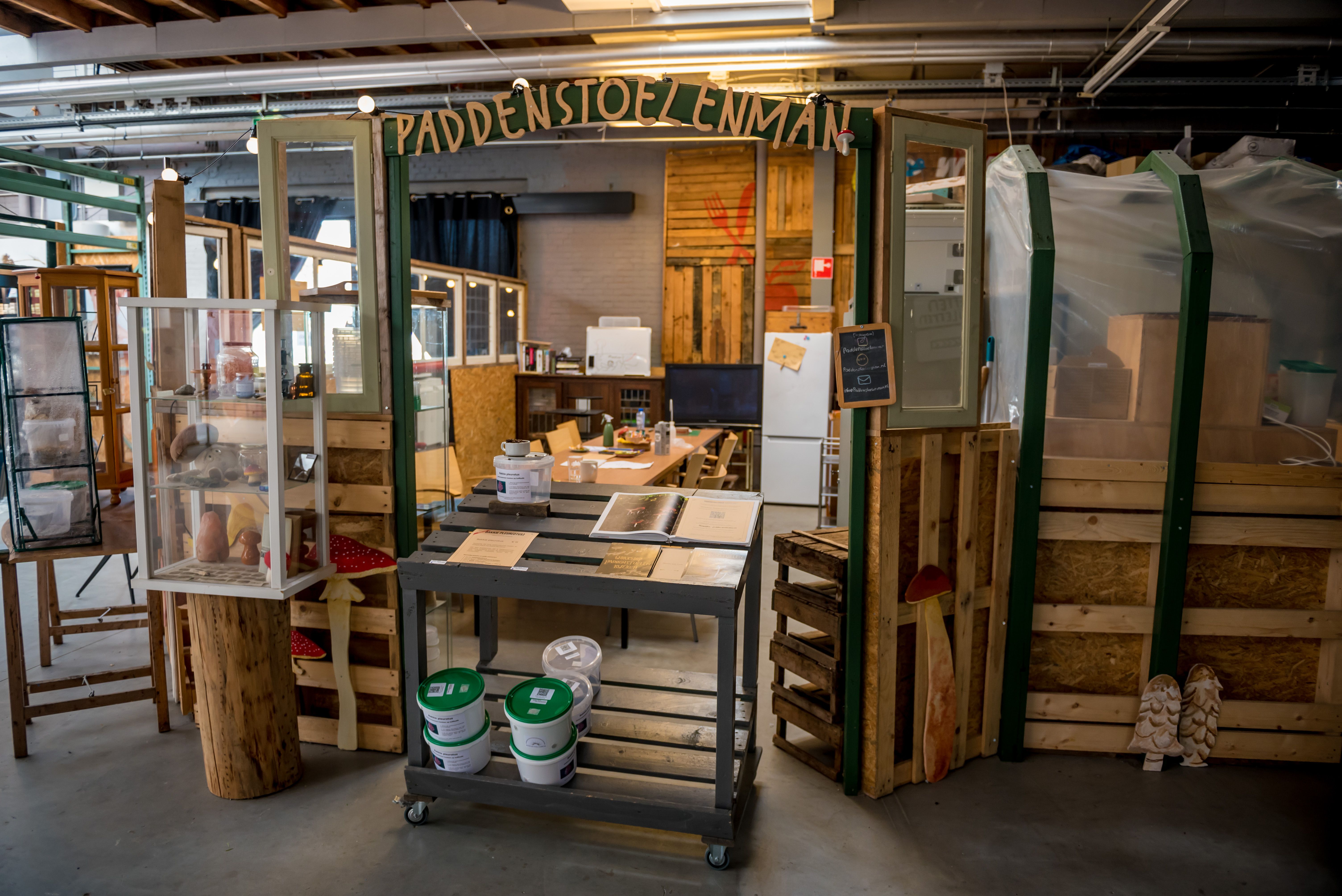 De werkplek van de paddenstoelenman