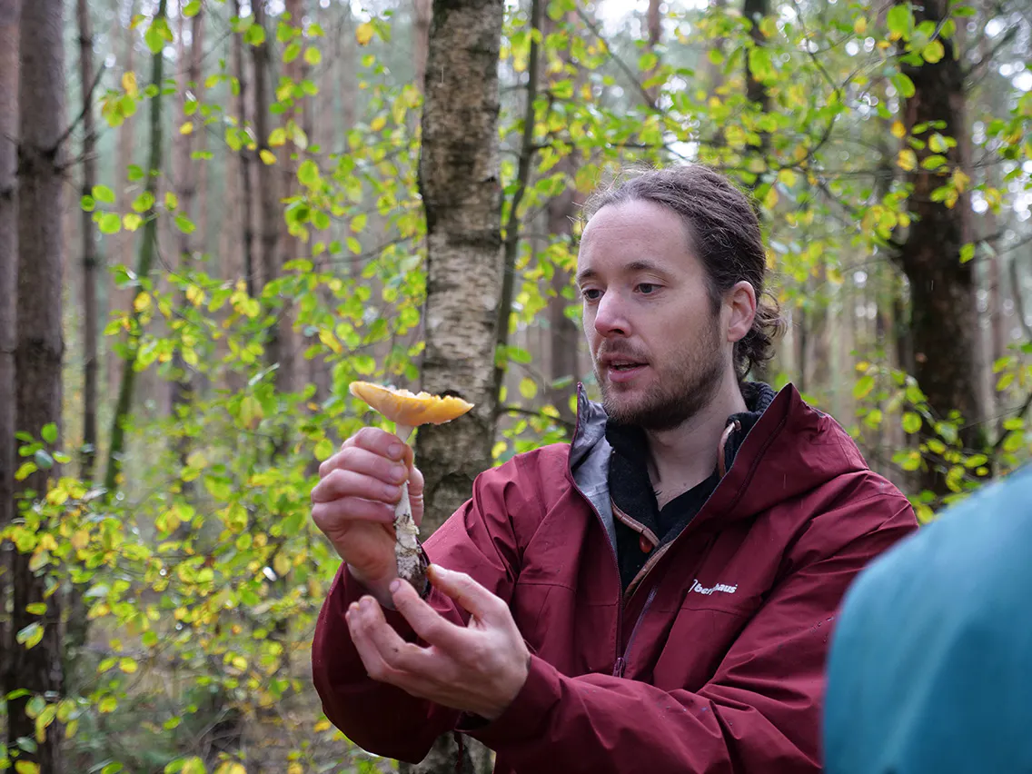 Paddenstoelenman Reinier laat een paddenstoel zien