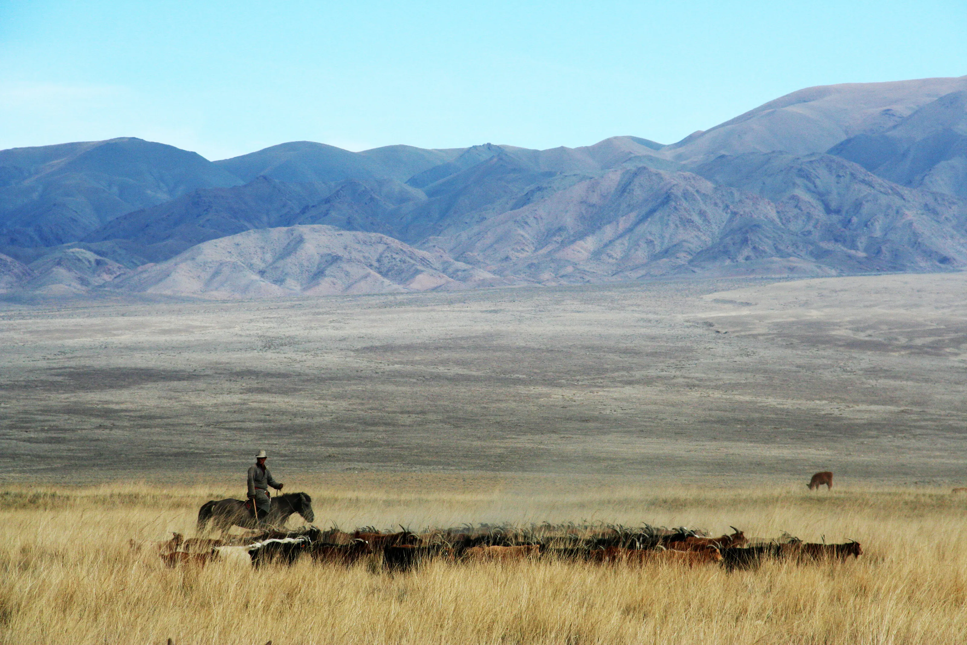 A mounted herder and livestock on grassland below mountains.