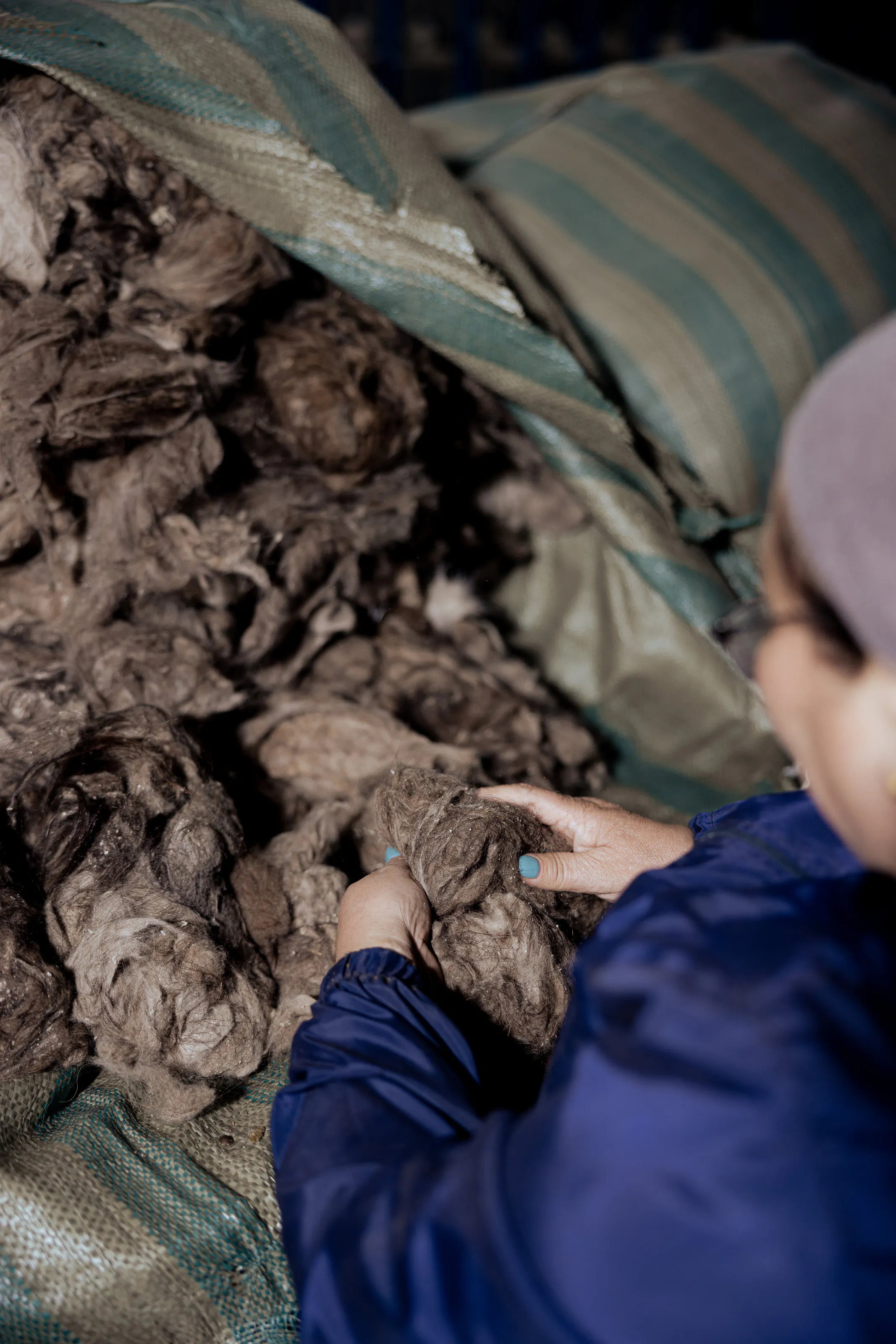 Hands handling loose brown fibre.