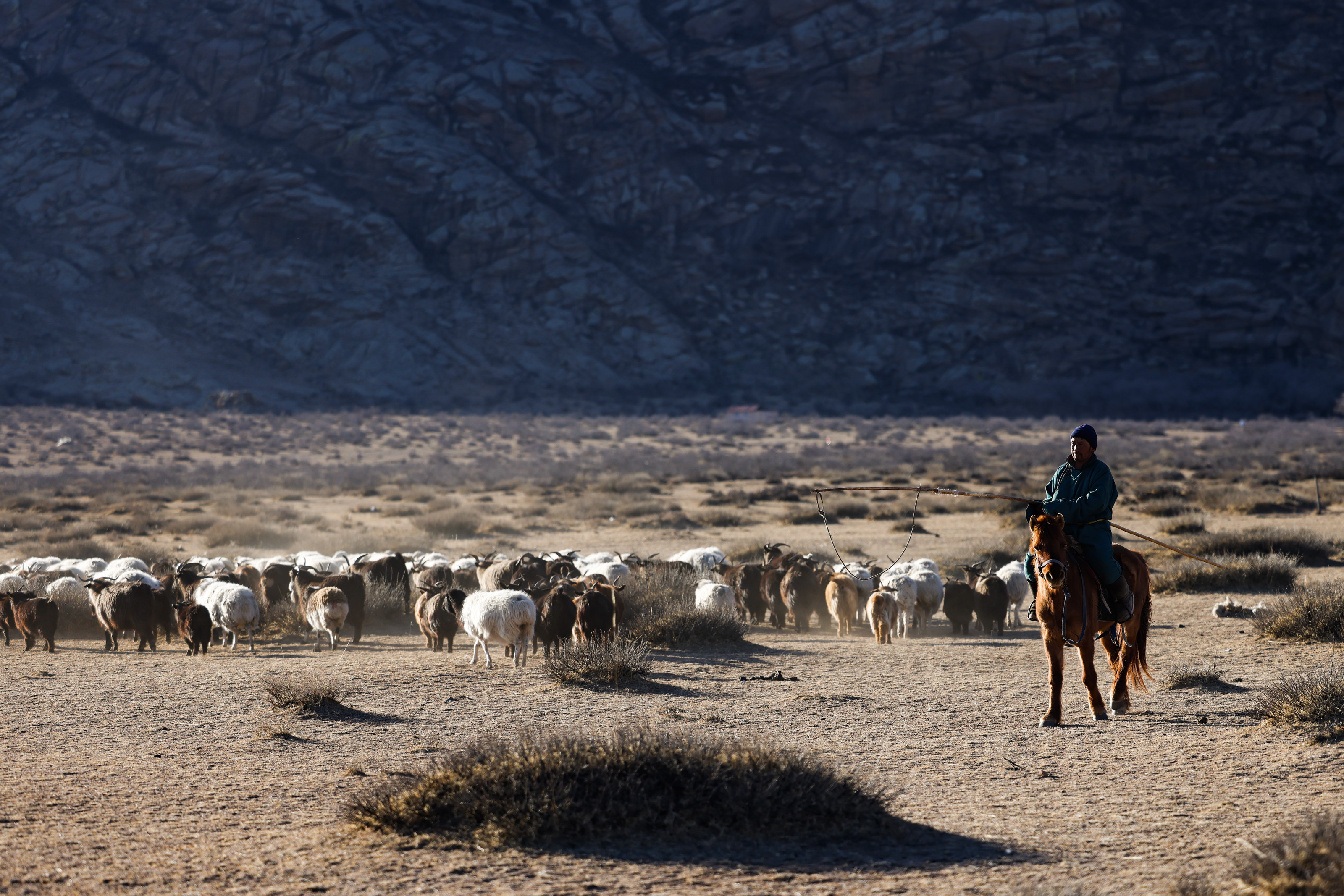 A mounted herder with a flock of sheep in open country.
