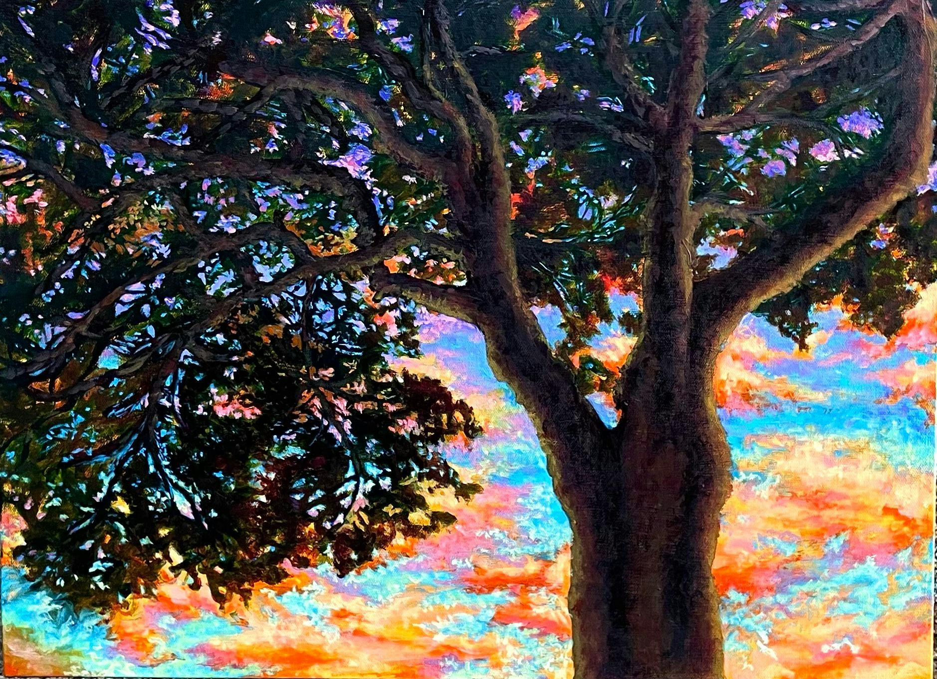silhouette of the top of a tree with sunset orange skies