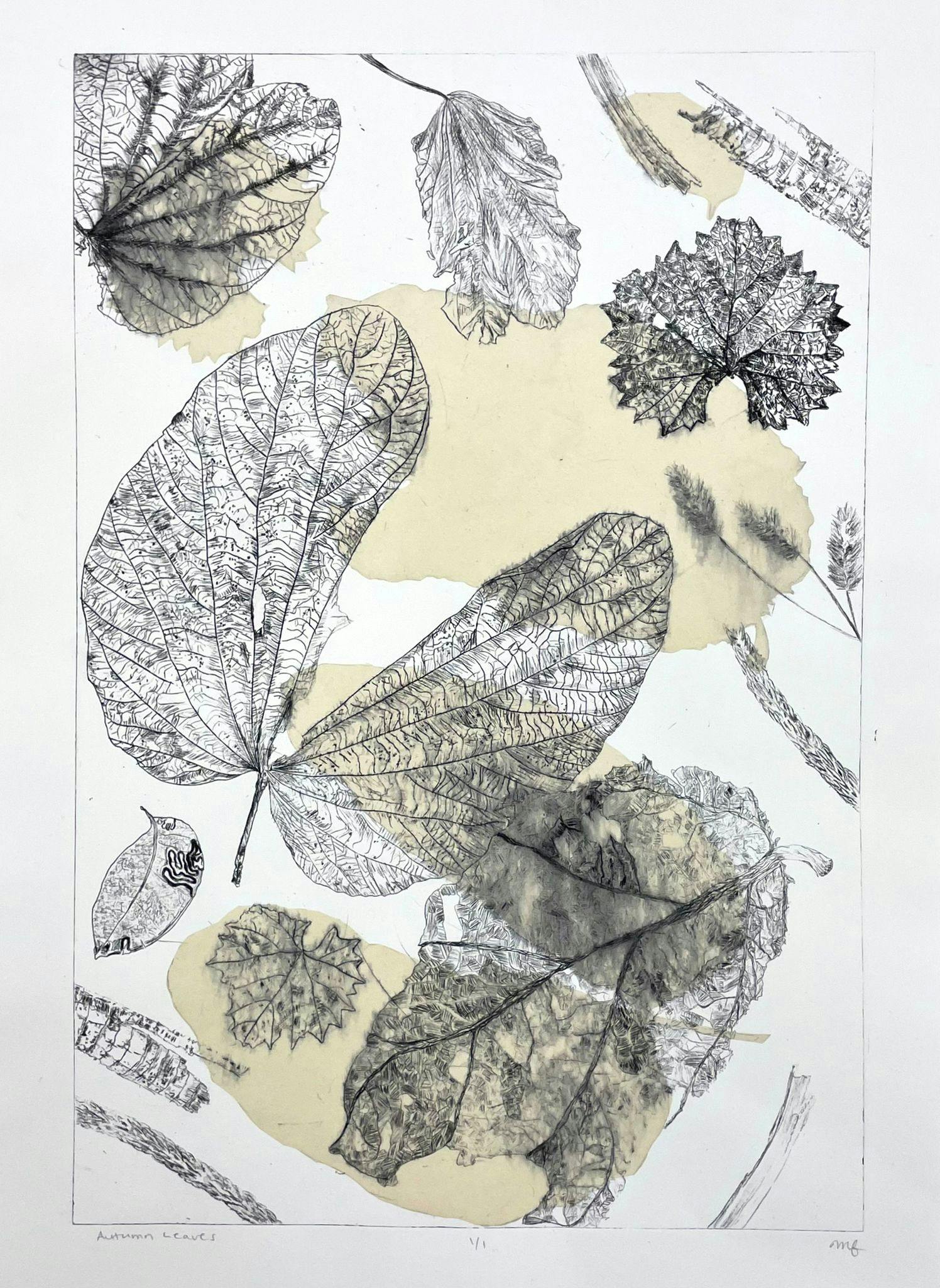 print of south florida leaves