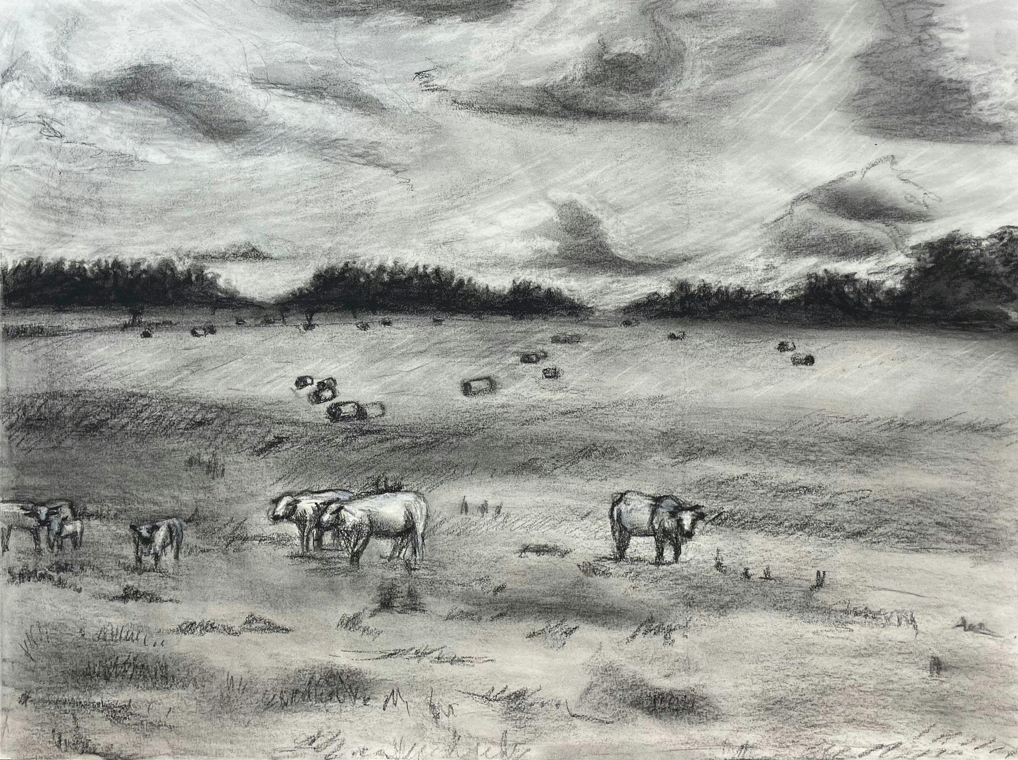 black and white drawing of field of cows grazing