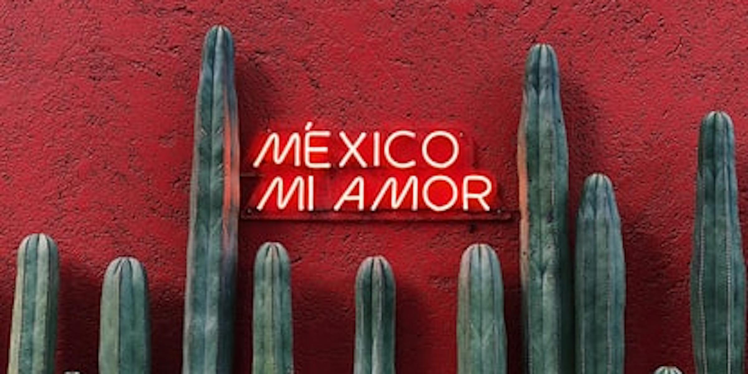 cactus y letrero de mexico mi amor