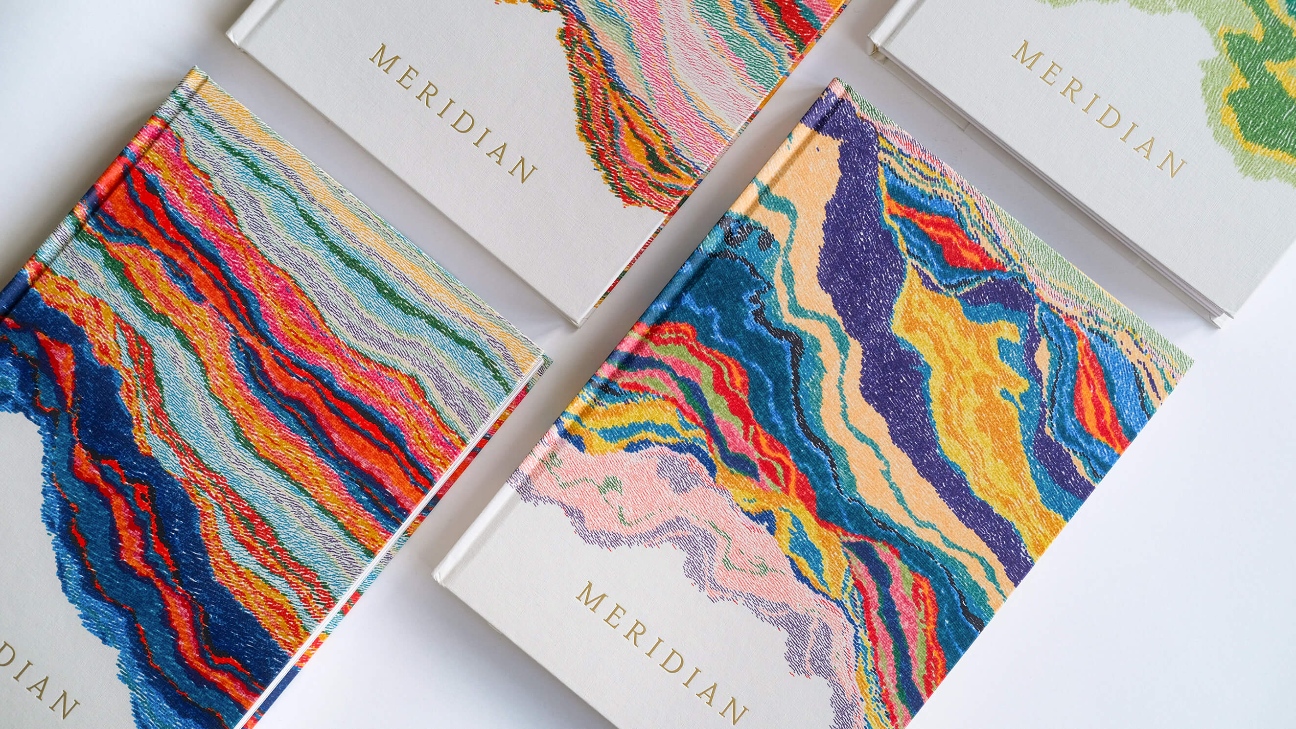 Meridian book by Matt DesLauriers, published by Vetro Editions.