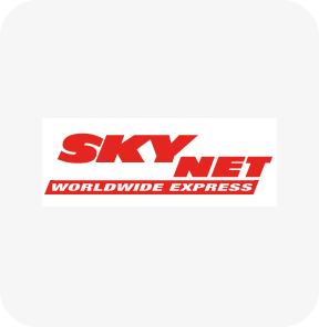 logo skynet
