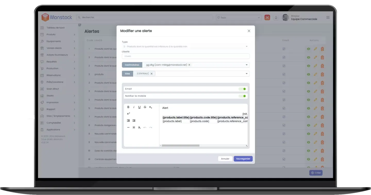 Mockup Alertes Automatique