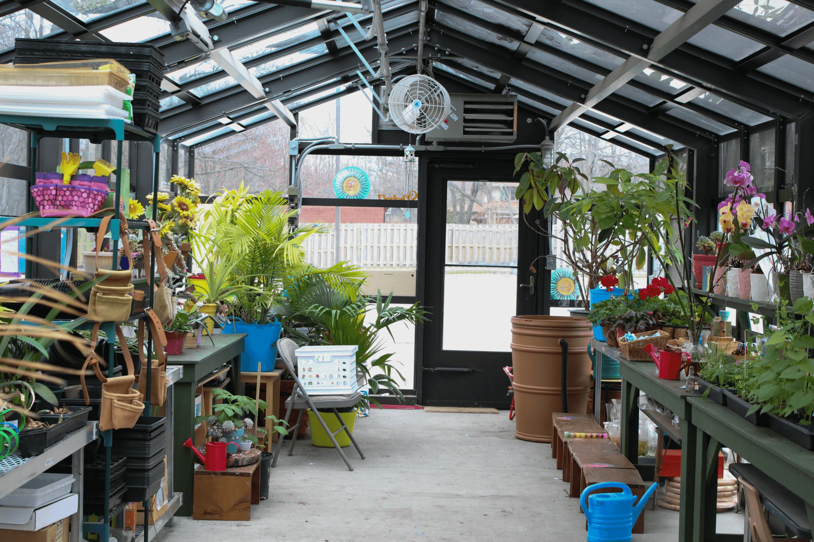 greenhouse inside