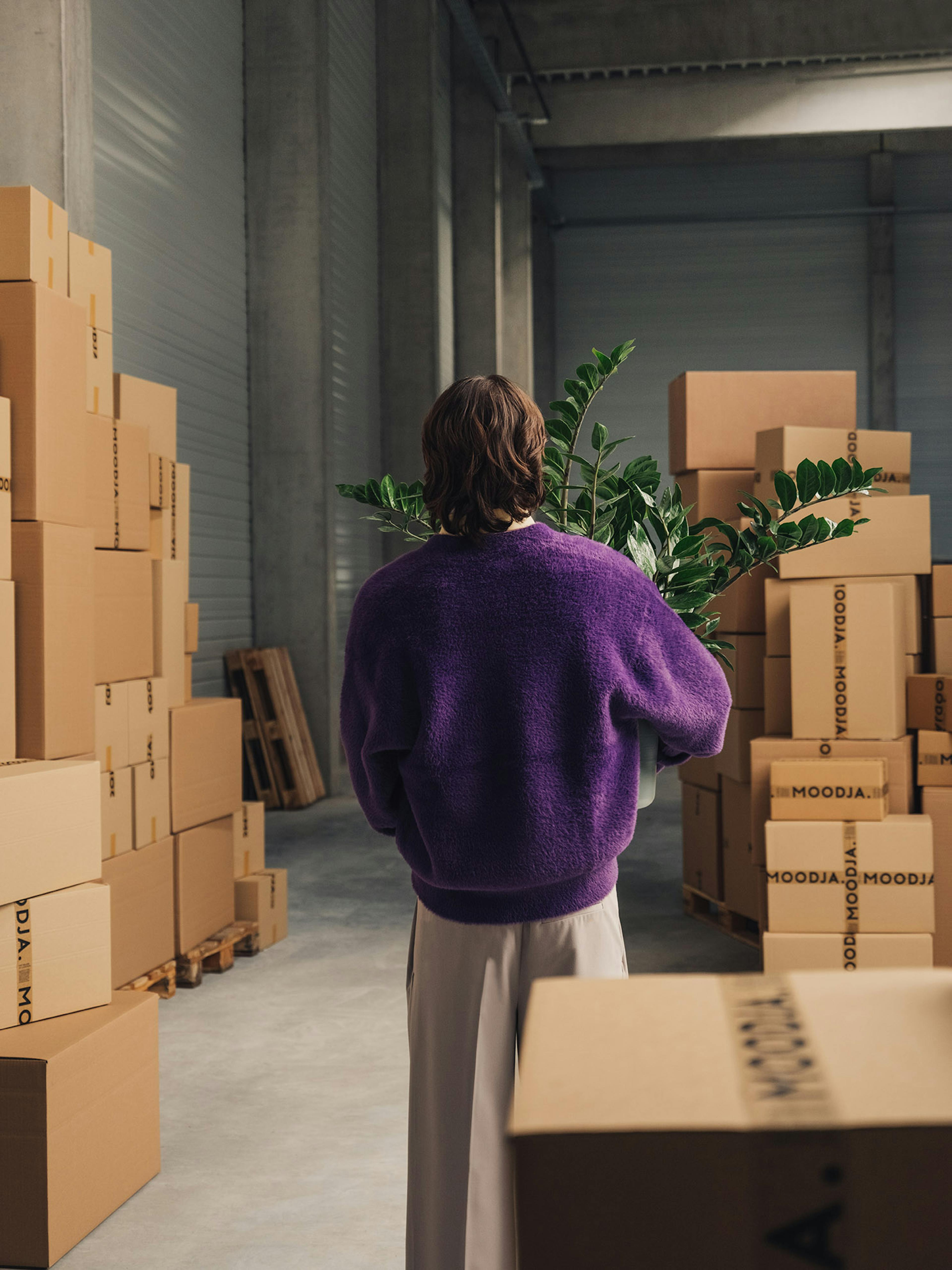 Person steht in einem Fulfillment Center zwischen Versandboxen und hält eine Pflanze