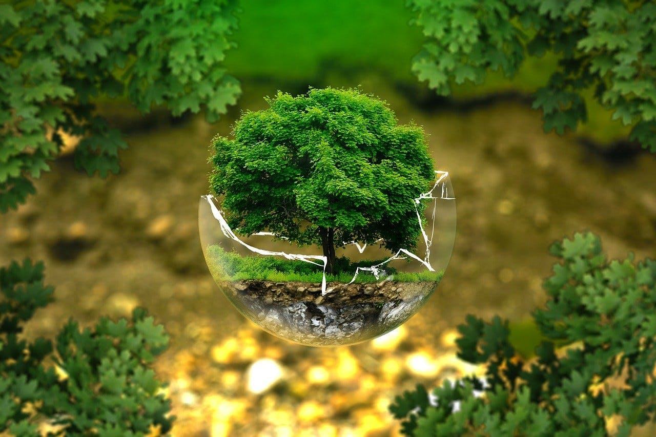 Glass ball with tree