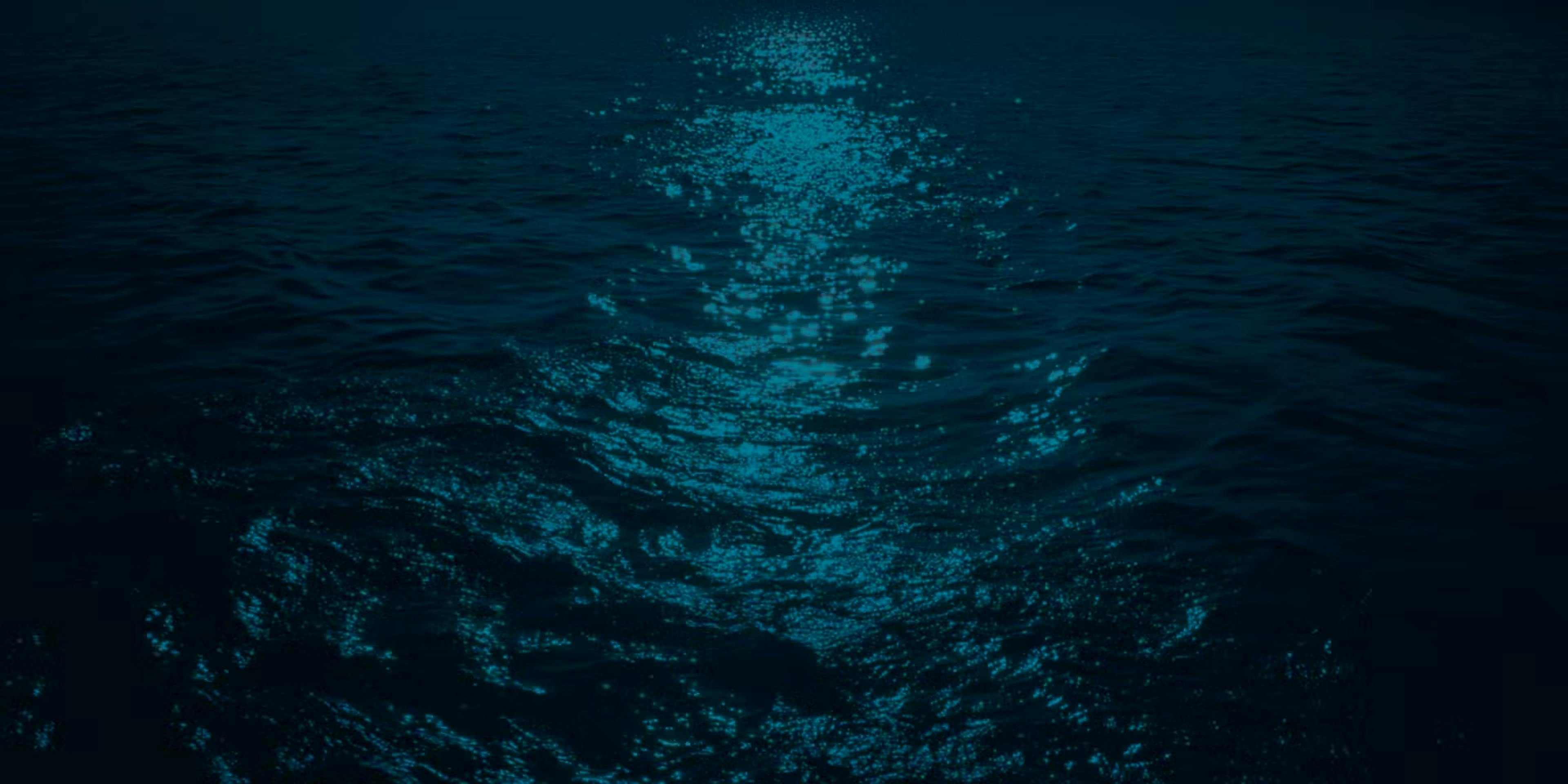 Moonlight rippling on the water