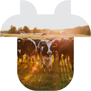 Mootral | Home