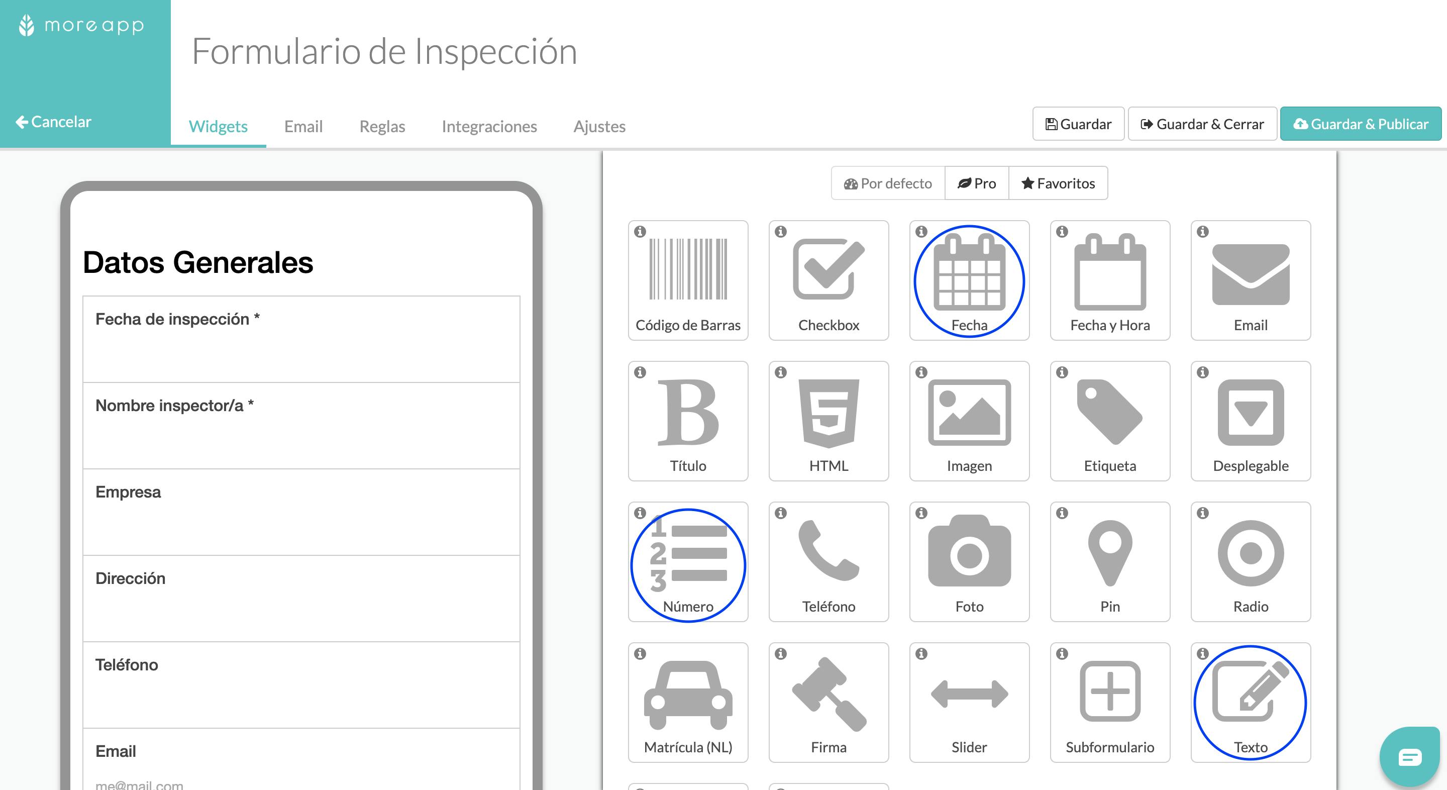 formulario-inspeccion-widgets