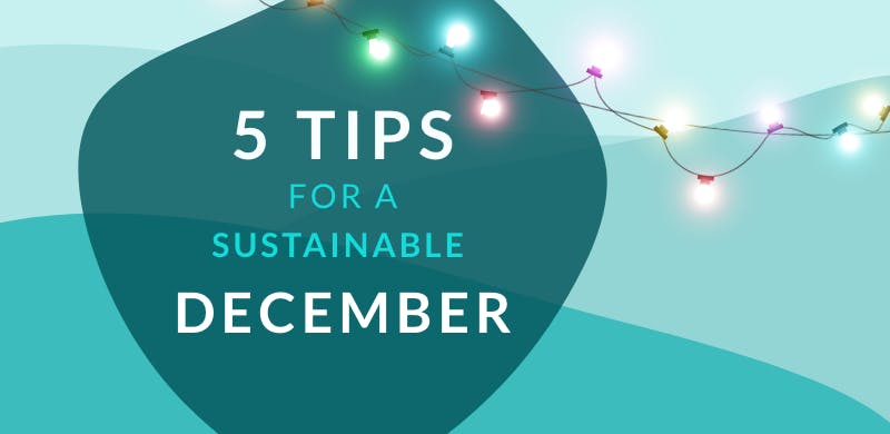 Become more sustainable with MoreApp's tips
