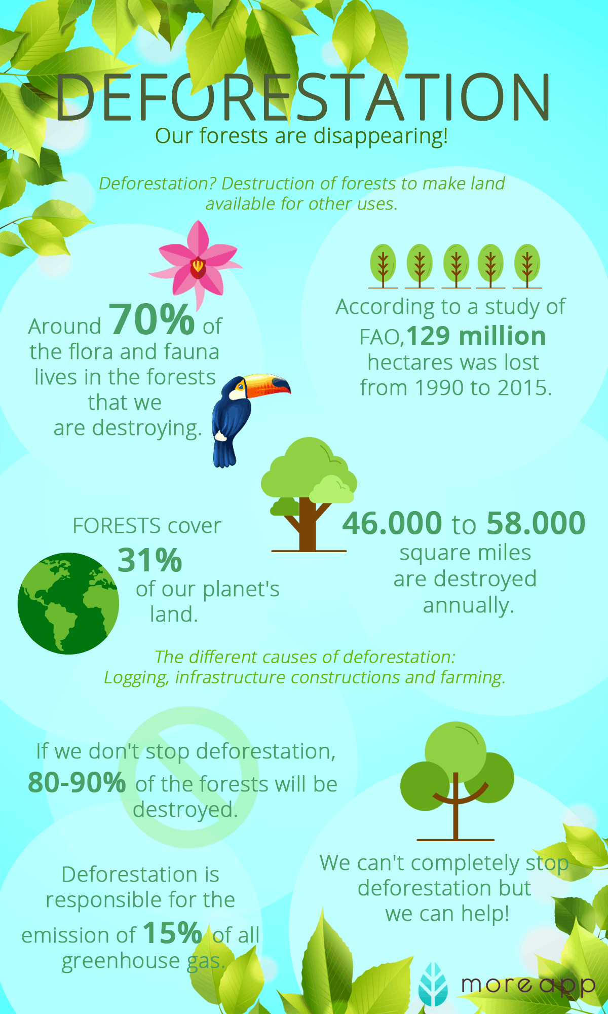 Take Care Of The Environment MoreApp Blog take-care-of-the-environment-moreapp-blog