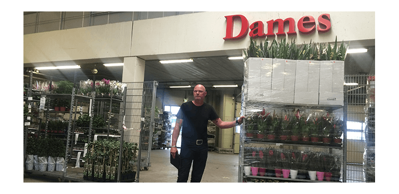 Dames Plants werk met MoreApp