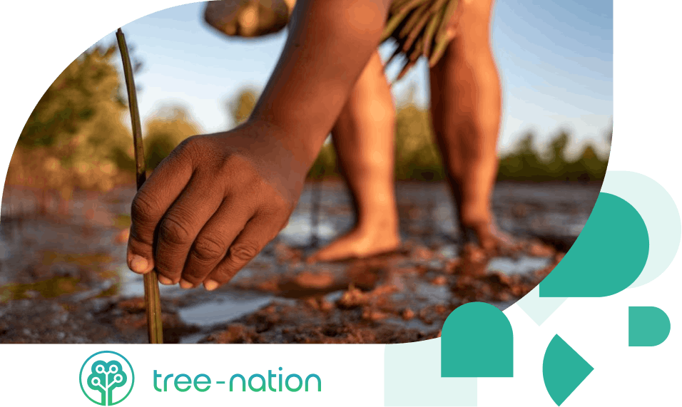 MoreApp Tree-nation