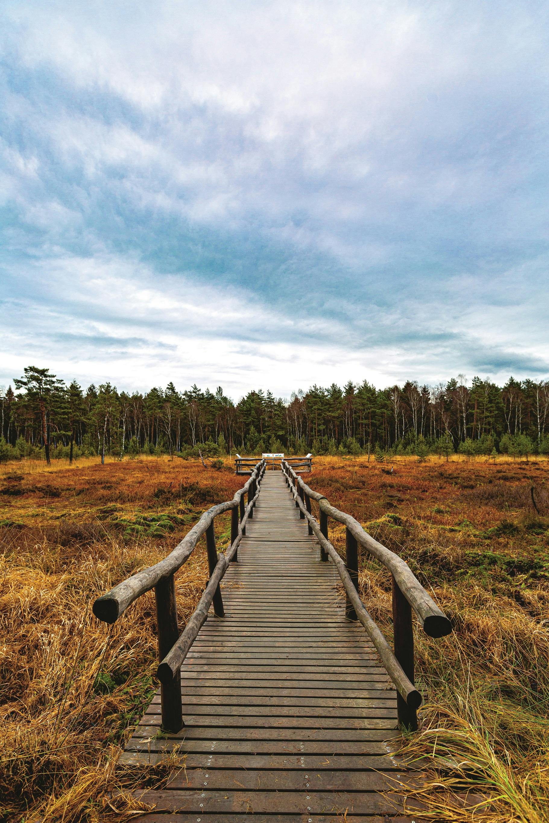 Naturpark Heidenreichsteiner Moor, neben der Wasserburg eines der touristischen Highlights der Stadt