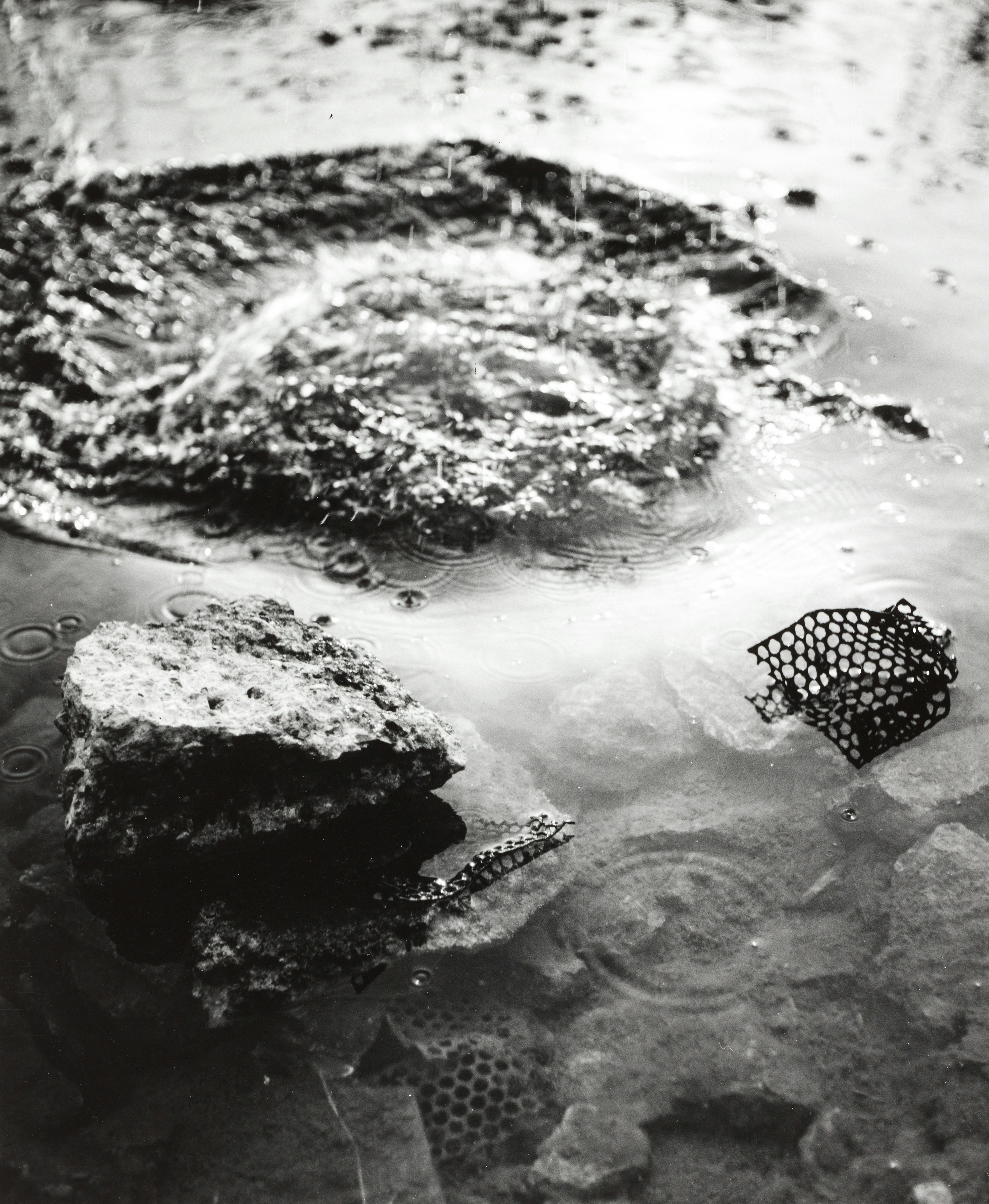 1954 © Elfriede Mejchar