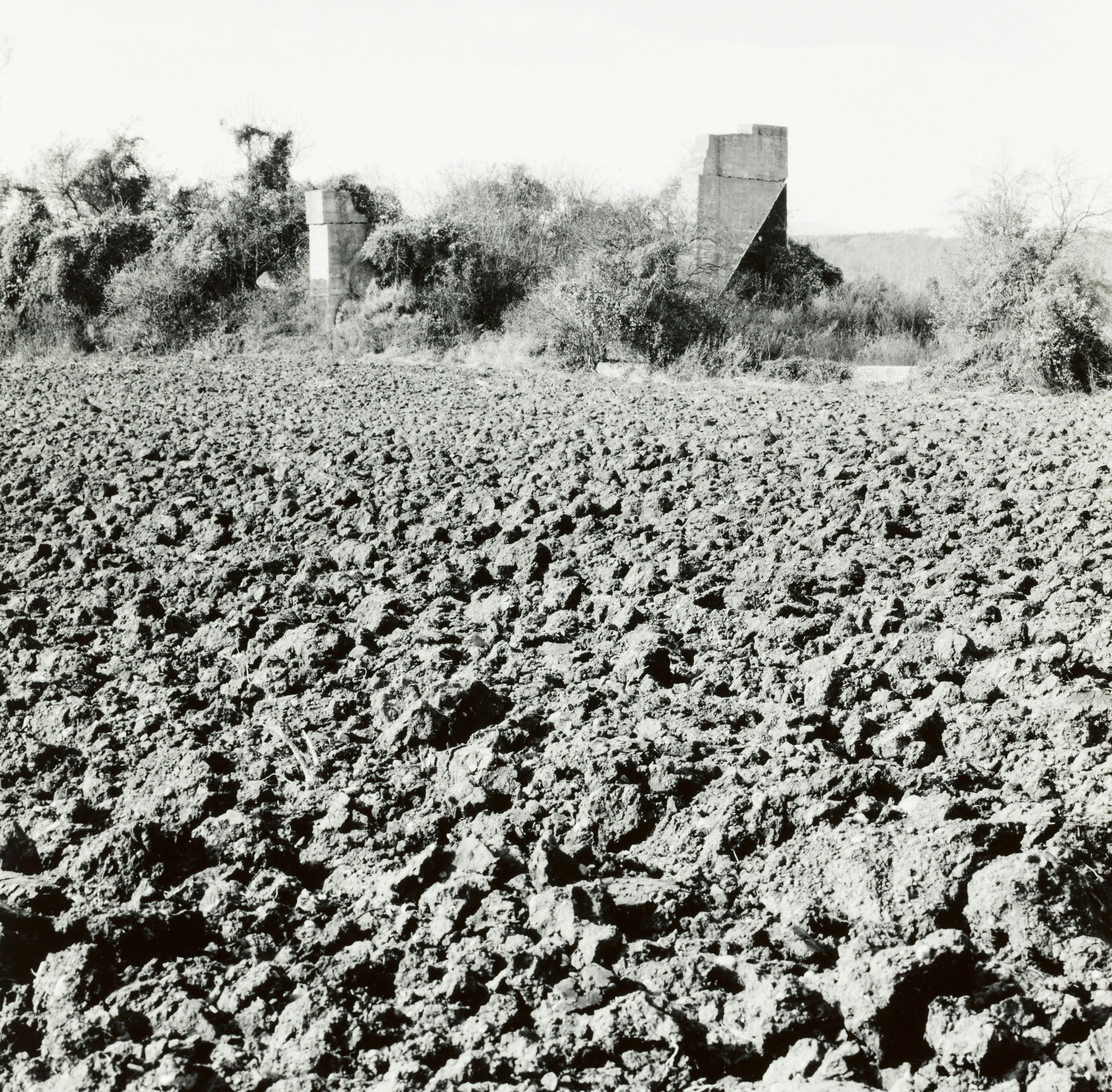 1994 © Elfriede Mejchar