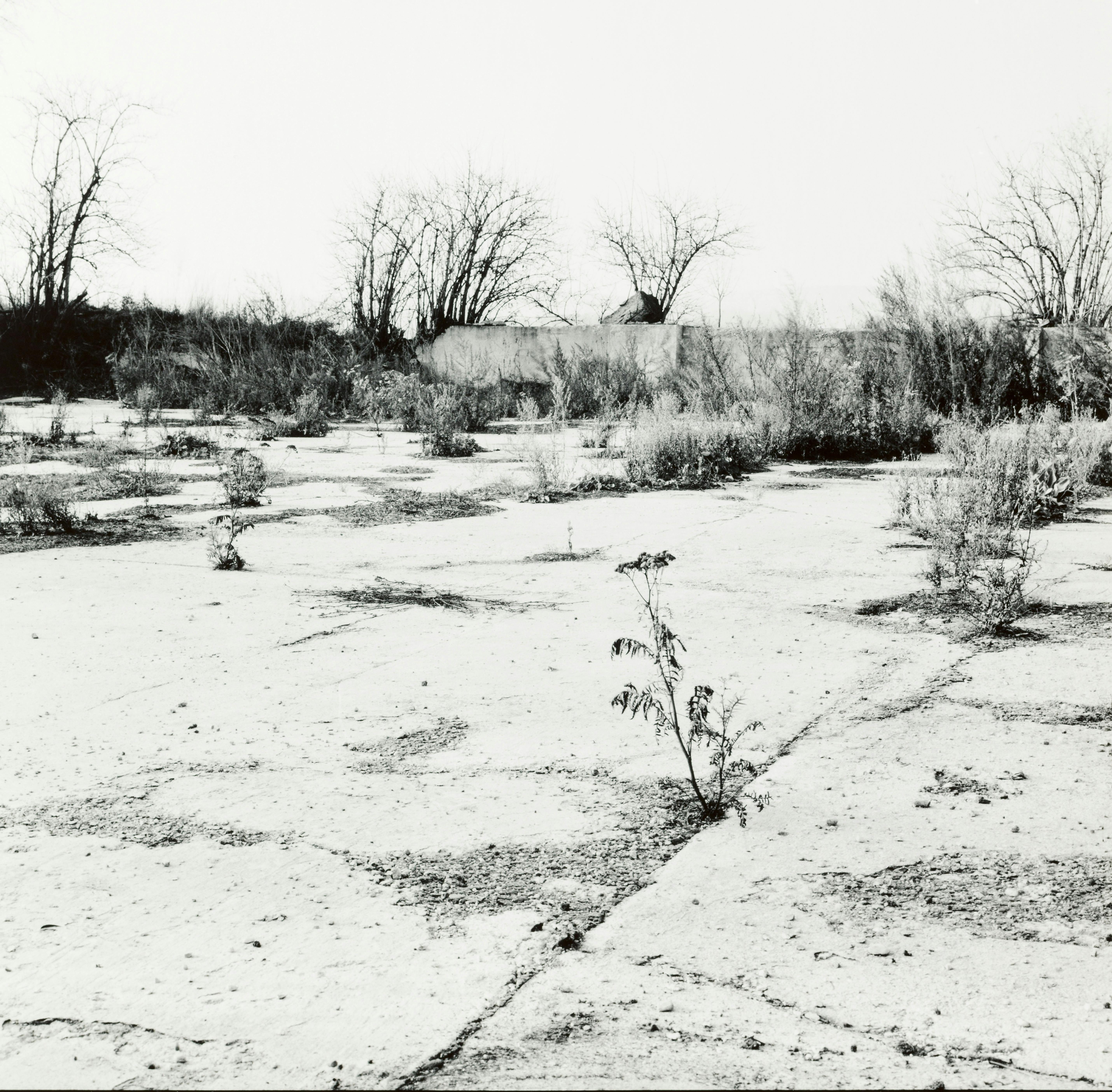 1994 © Elfriede Mejchar