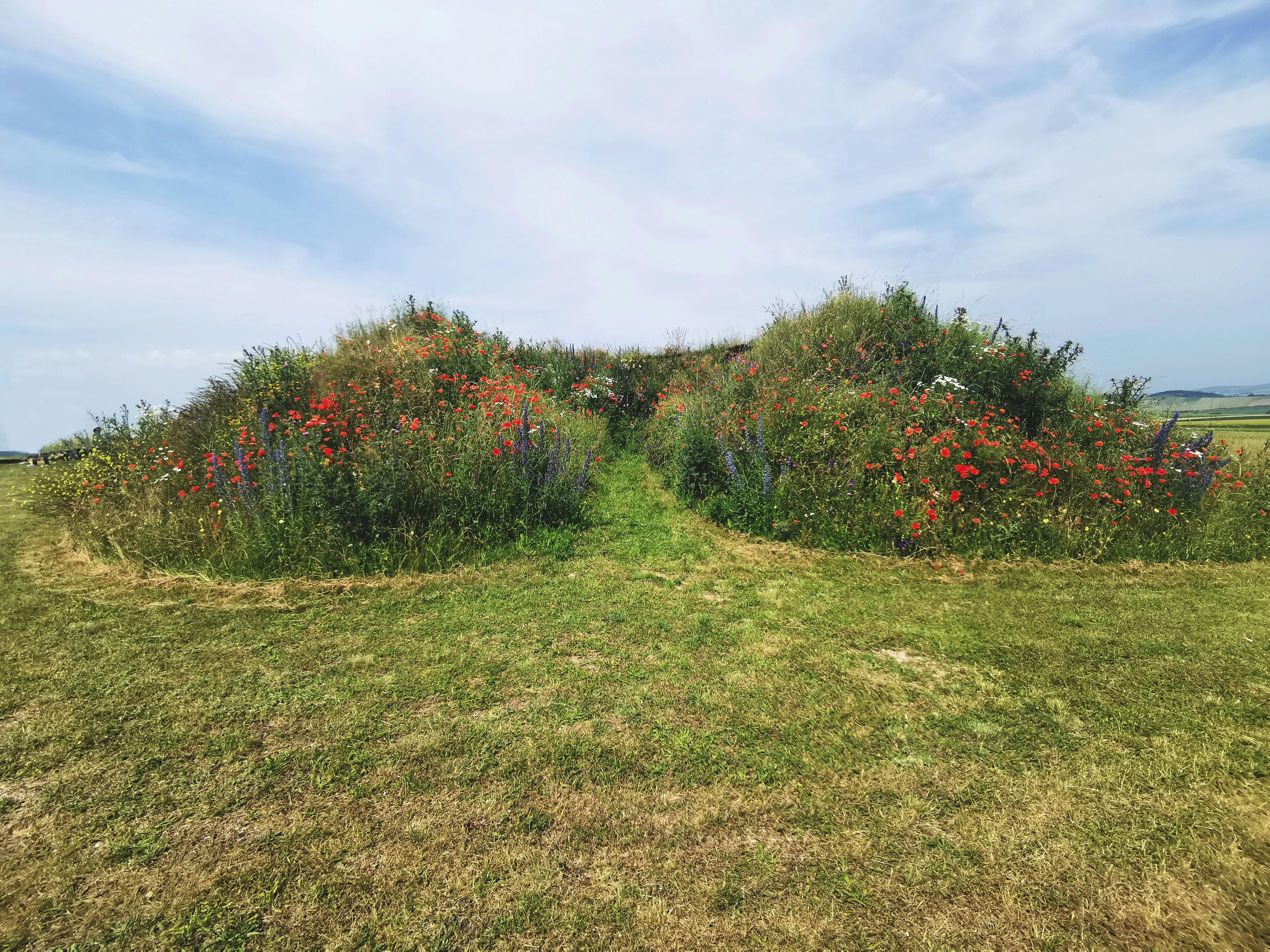 © Sodomka / Breindl