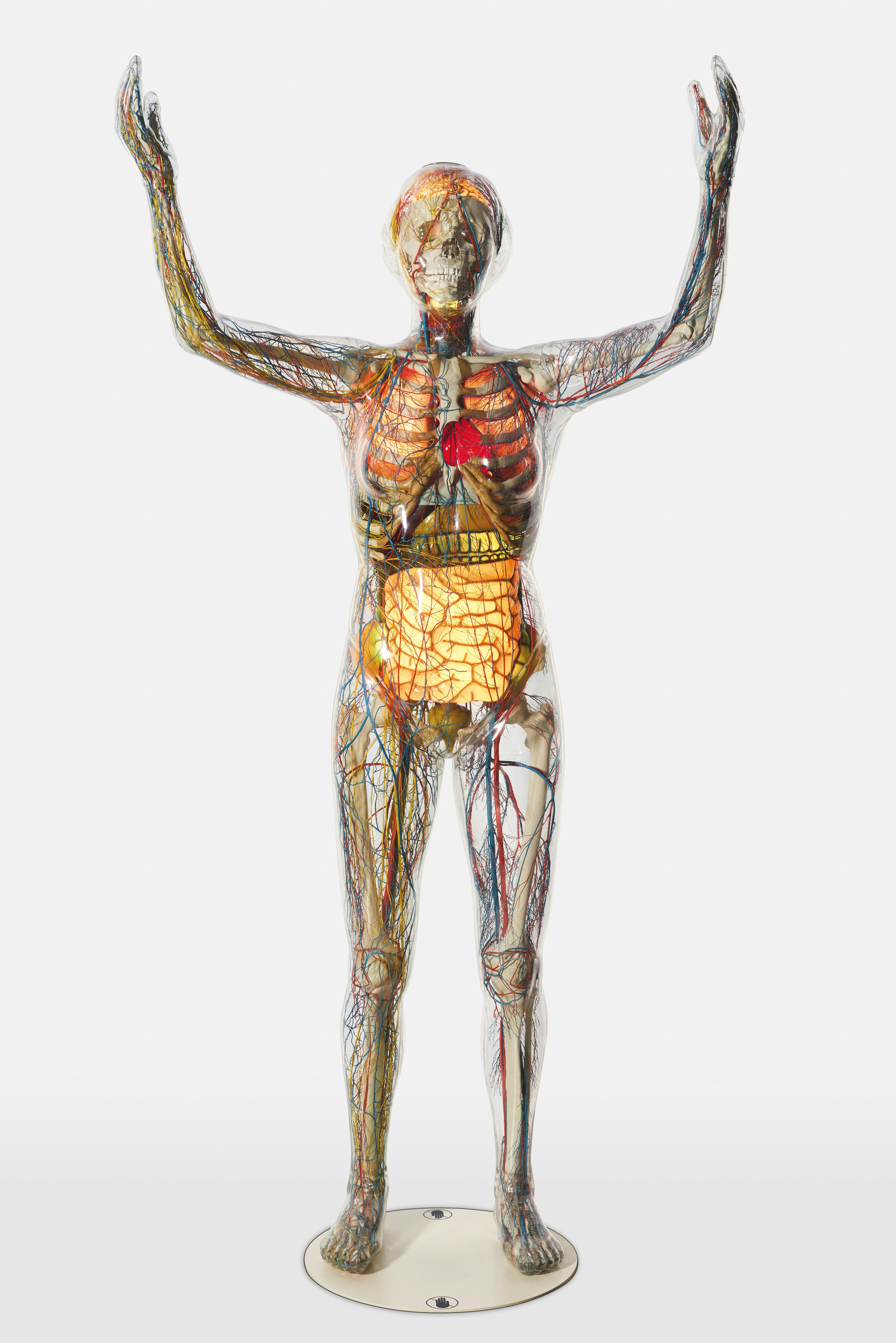 Stiftung Deutsches Hygiene-Museum Dresden / Gunter Binsack