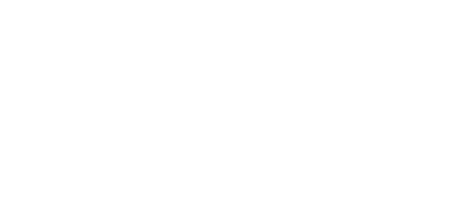 Hasty logo