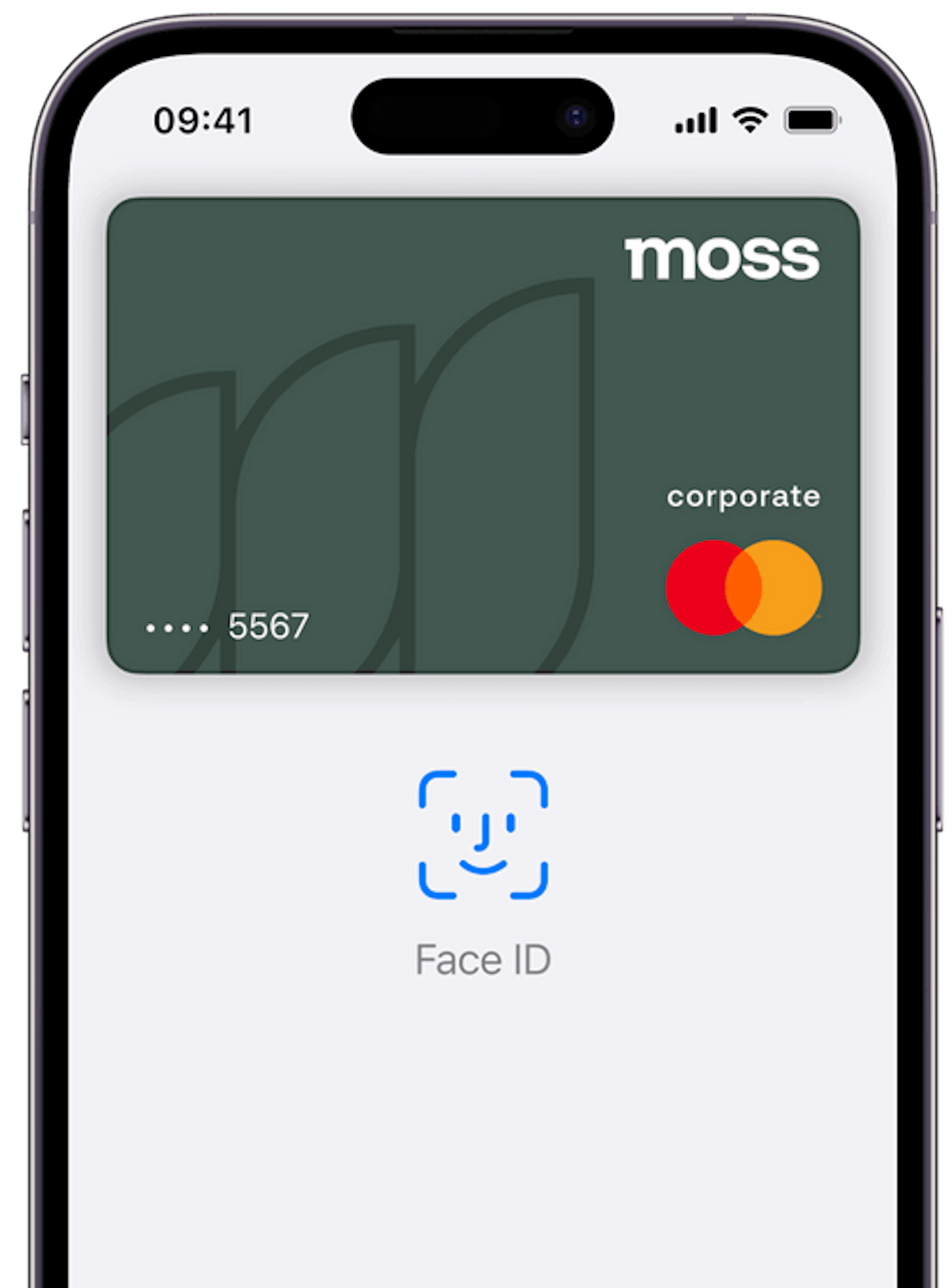 Apple Pay