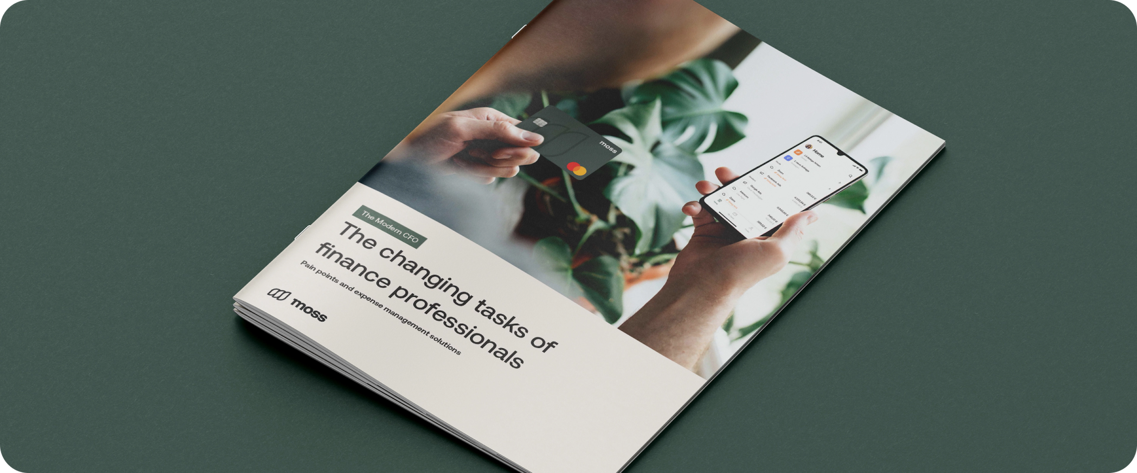 CFO-Portal_ brochure 