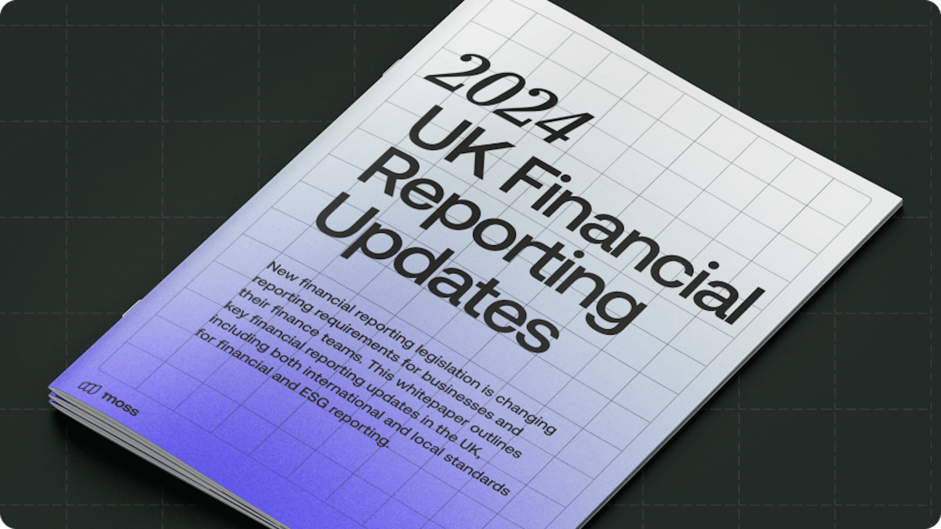 2024 UK Financial Reporting Updates white paper cover
