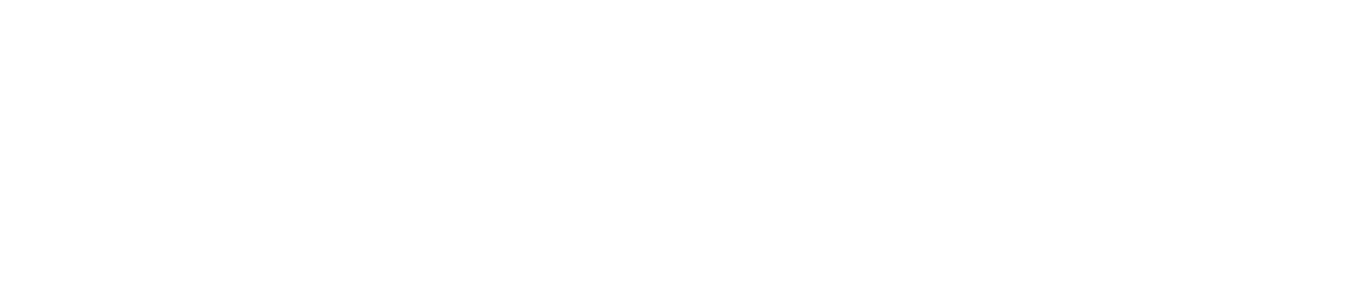 Lincoln City Logo White