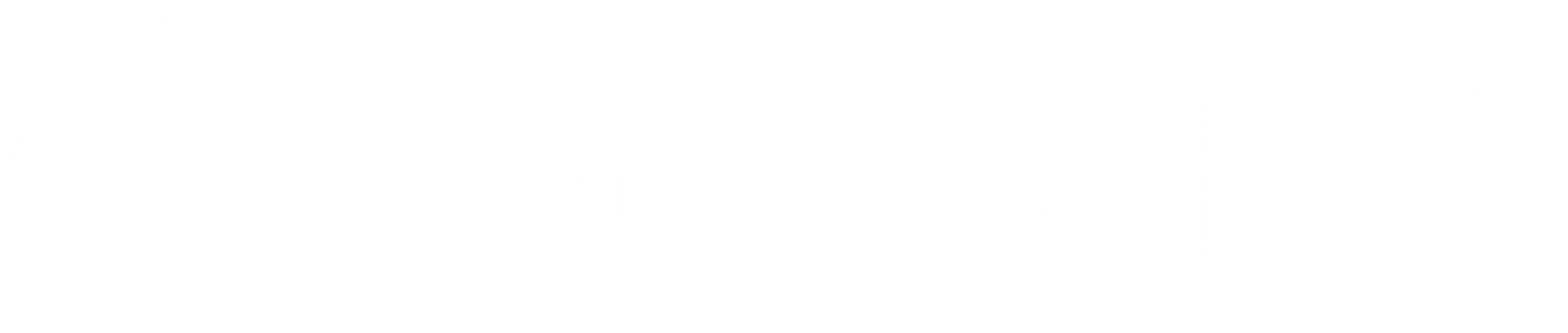 Lincoln City Logo White