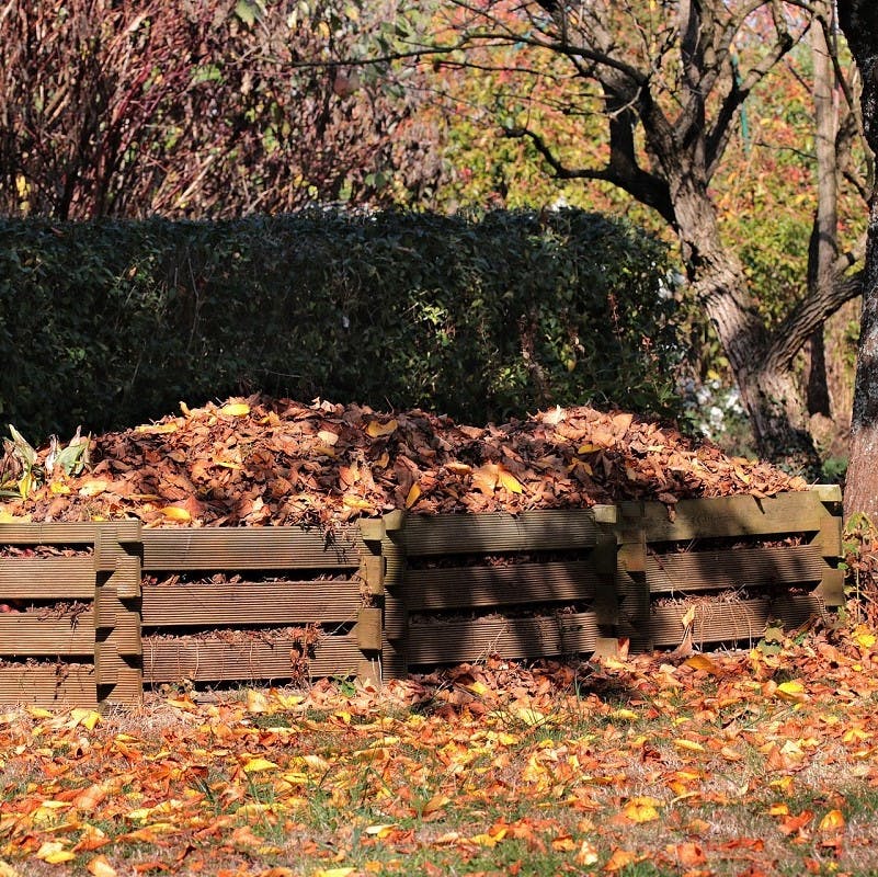 A home composting pile of dry brown leaves. Getting the right balance of green waste, brown waste, water and air is key to a quality home compost.