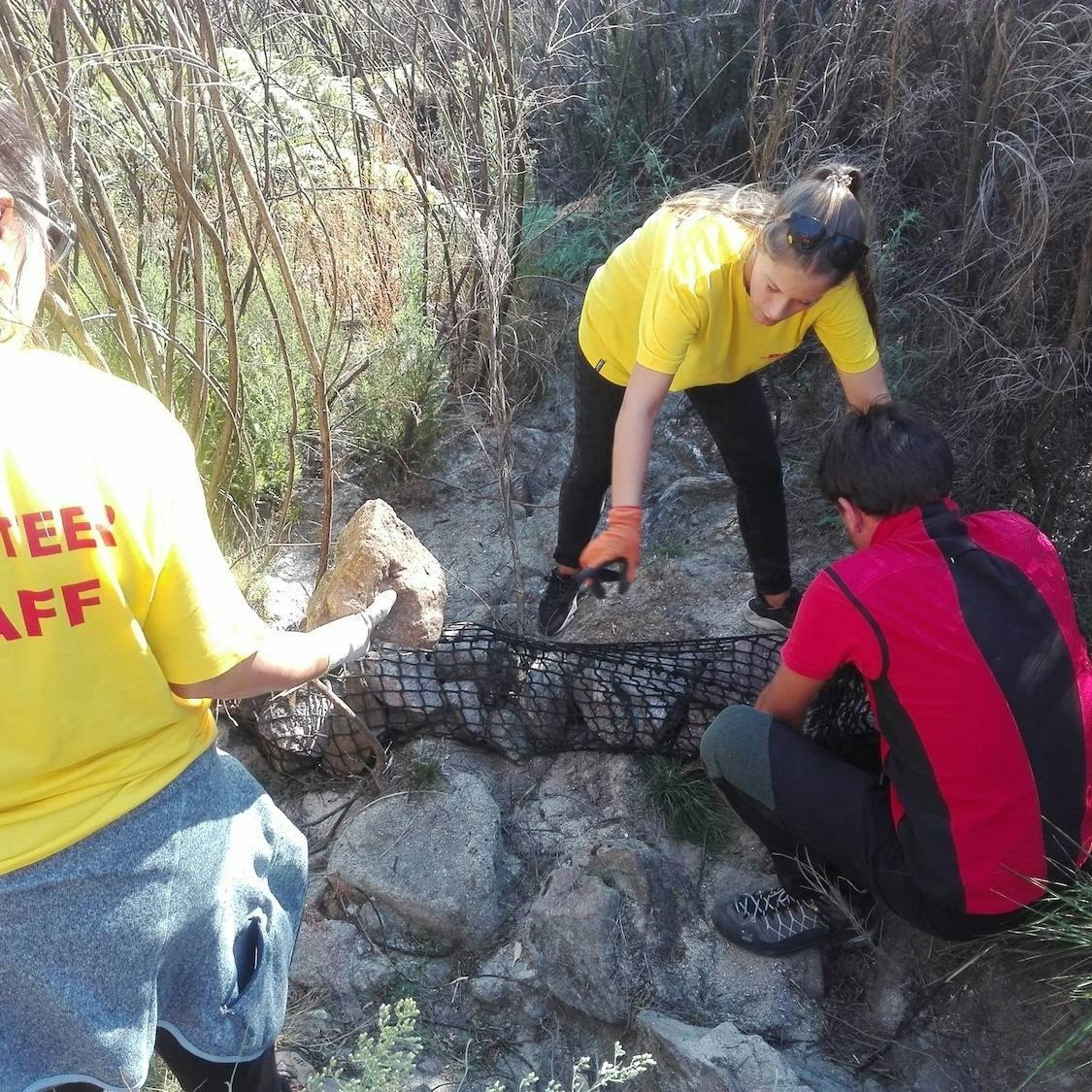 Volunteers building a gabion