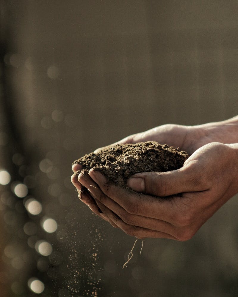 A person's cupped hands full of soil.