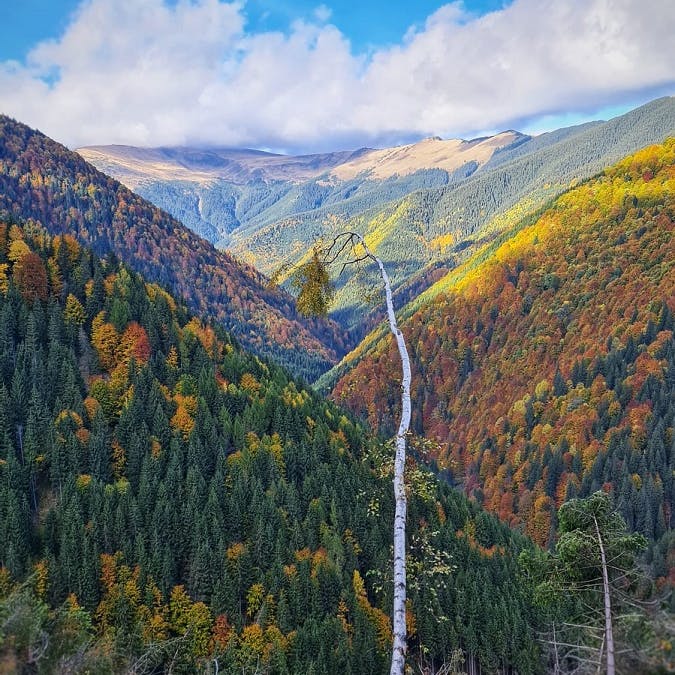 A landscape view of the Făgăraș mountains