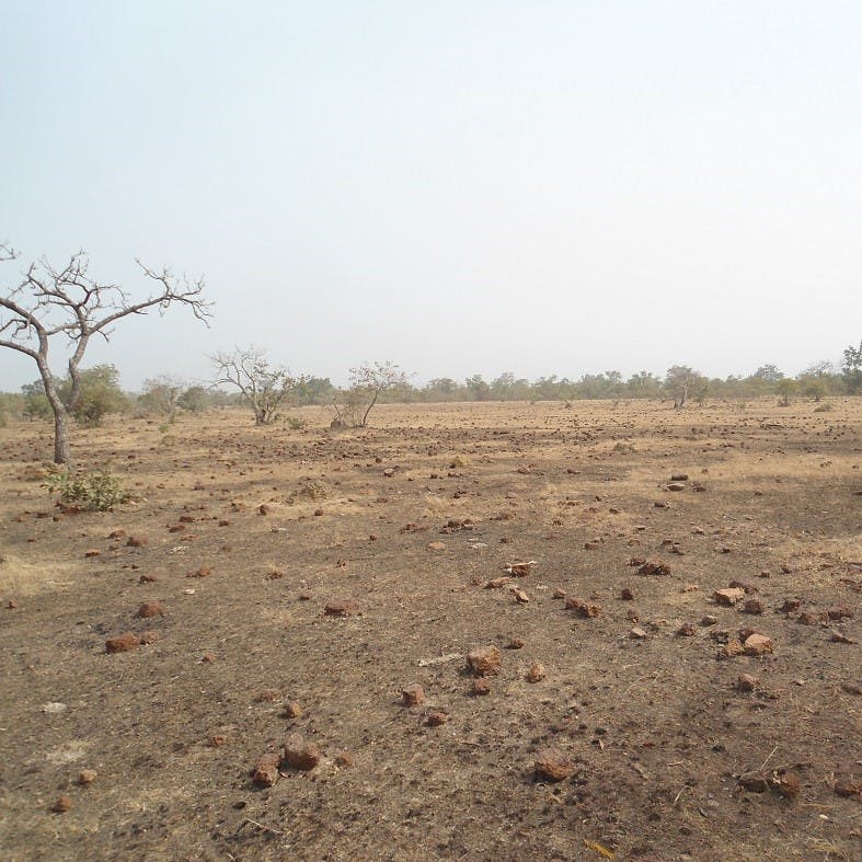 Drylands, Benin, West Africa.