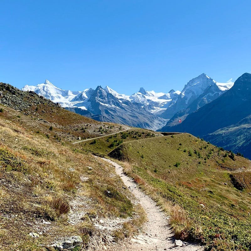 A mountain footpath with snowy tops in the background. 