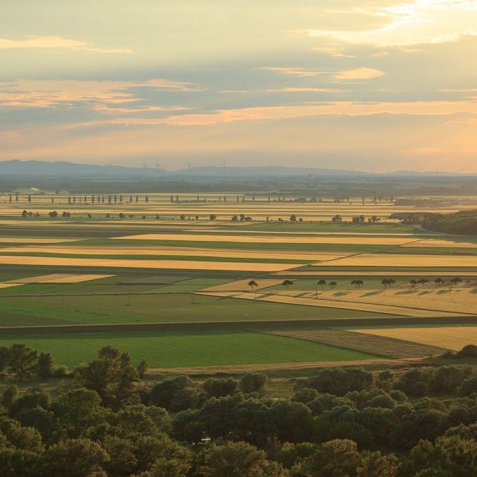 a landscape image of a series of agricultural fields