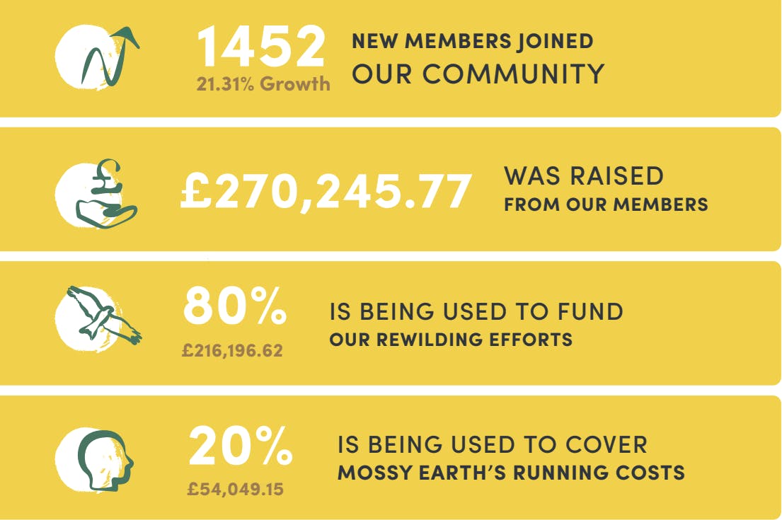 Mossy Earth top level summary of Q1 quarterly report