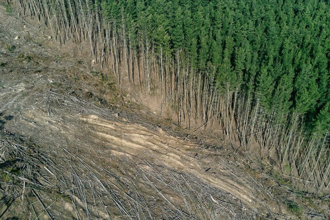 An example of large scale deforestation, which is one of the key human driven drivers of climate change.