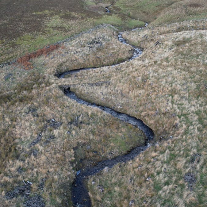 The burn at Glassie Farm, the site of Mossy Earth's riparian restoration project.